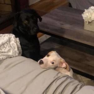 Meet your Posher, Chris